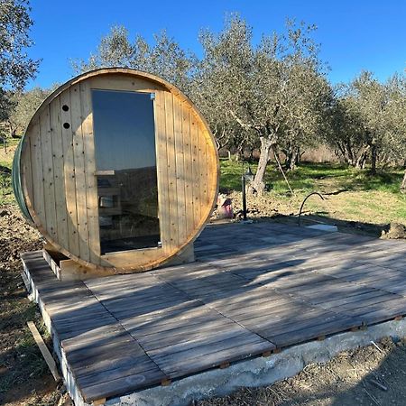 Casale Meraviglioso Val D'Orcia Con Piscina Radicofani Exterior foto