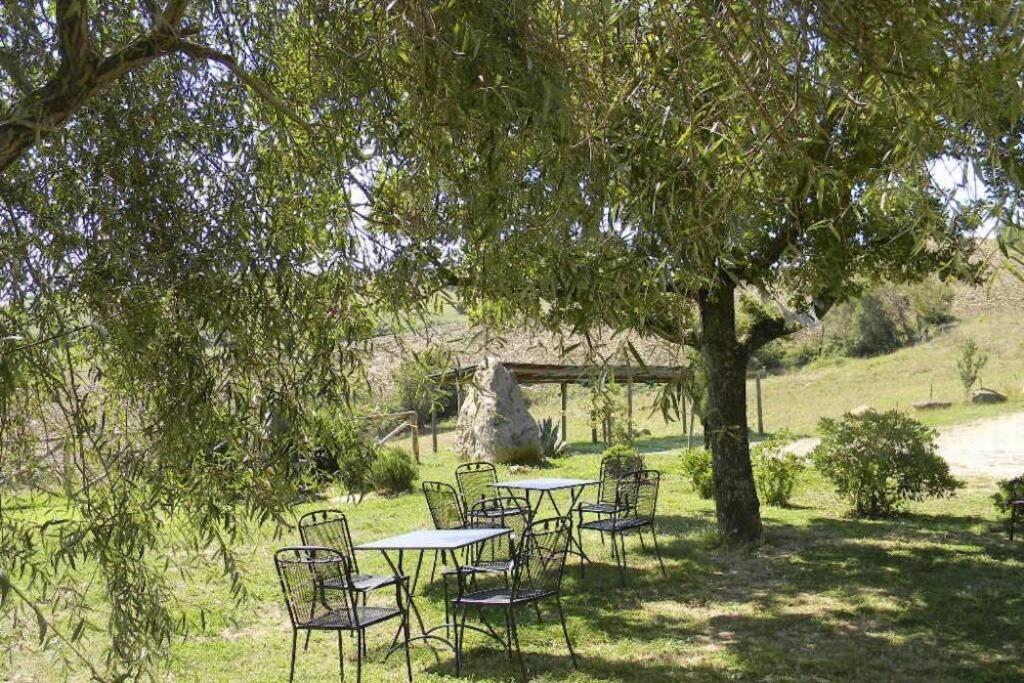 Casale Meraviglioso Val D'Orcia Con Piscina Radicofani Exterior foto